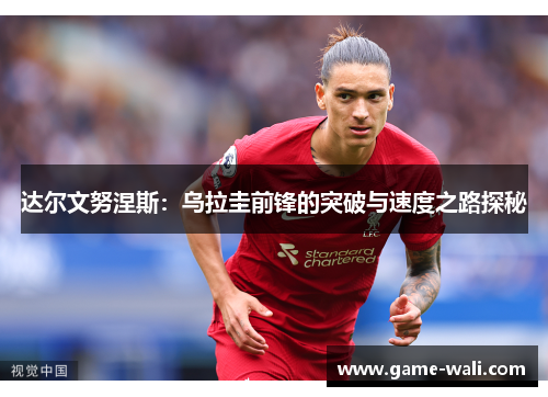 达尔文努涅斯：乌拉圭前锋的突破与速度之路探秘