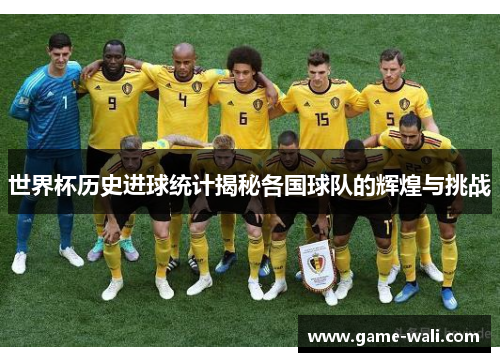 世界杯历史进球统计揭秘各国球队的辉煌与挑战
