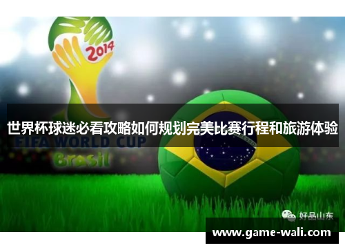 世界杯球迷必看攻略如何规划完美比赛行程和旅游体验