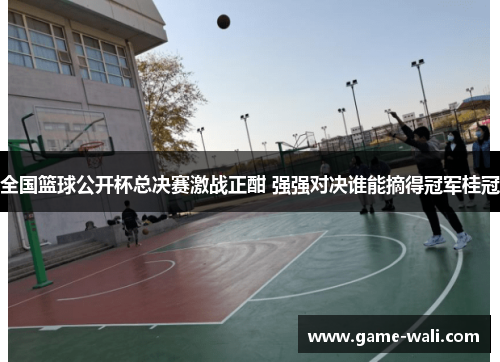 全国篮球公开杯总决赛激战正酣 强强对决谁能摘得冠军桂冠