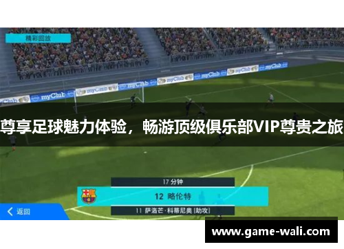 尊享足球魅力体验，畅游顶级俱乐部VIP尊贵之旅