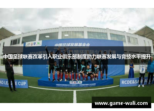 中国足球联赛改革引入职业俱乐部制度助力联赛发展与竞技水平提升