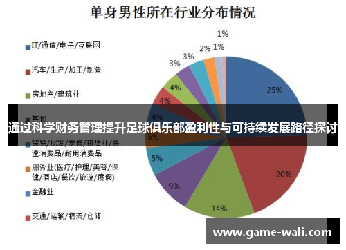 通过科学财务管理提升足球俱乐部盈利性与可持续发展路径探讨